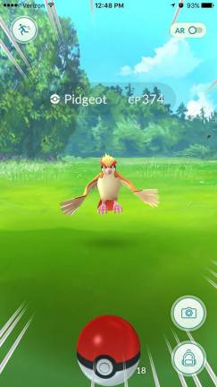 Pogo Capture